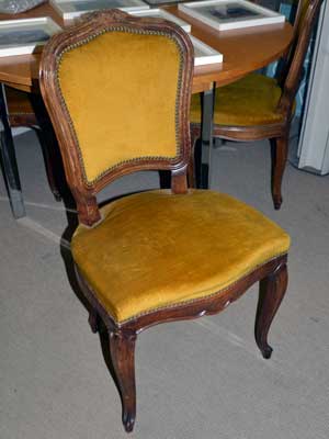 562. Dining chairs, gold velvet upholstery